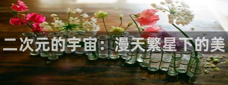 age动漫3.1：二次元的宇宙：漫天繁星下的美