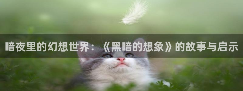 age动漫官方限时放送登录.官方游戏.org：暗夜里的幻想世界：《黑暗的想象》的故事与启示