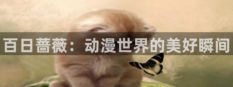 age动漫官方版下载：百日蔷薇：动漫世界的美好瞬间