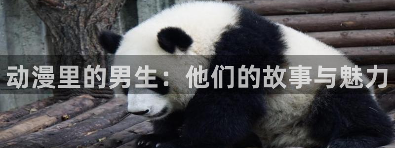 age动漫动漫官网