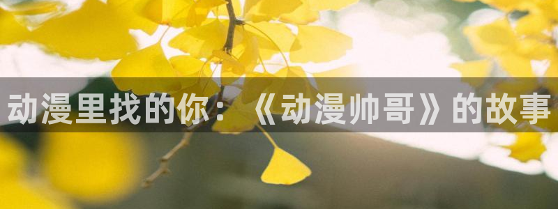 age动漫是什么：动漫里找的你：《动漫帅哥》的故事